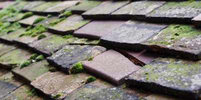 Snailwell roof repair costs